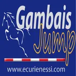 Gambais Jump icon