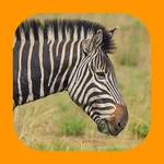 Animals of Pilanesberg icon