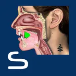 Semivowels icon