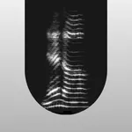Finger Voice icon