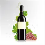 葡萄酒百科  红酒文化世界酒庄知识免费版HD icon