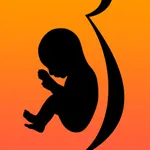 Pregnant Eating icon