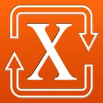 Roman Numerals Converter icon