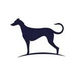 Sighthound Video icon