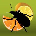 Citrus Pests Key icon