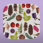 Dried Botanicals Key icon
