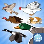 Happy Aviary Adventure - Pick your bird game! icon