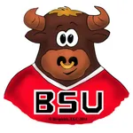 Bullshirt icon