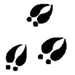 Norwegian Safari icon