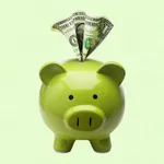 Pocket Money Manager icon