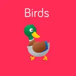 Birds Flashcard for babies and preschool icon