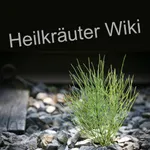 Heilkräuter Wiki icon