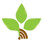 New Life FM icon