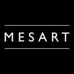 Mesart Hair Salon icon