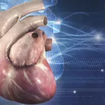 Cardiology 3D Small Animals icon