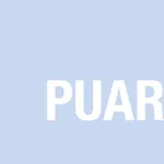 Public Administration Review icon