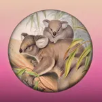 Field Guide to Queensland Fauna icon