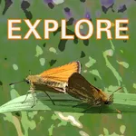 Explore Wild Essex icon