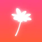Sofoto icon