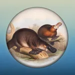 Field Guide to NSW Fauna icon