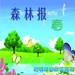 森林报(春)-聪明果的故事花园 icon