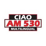 Ciao 530 icon