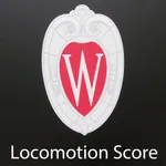 Loco Score icon