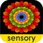 Sensory Coloco - Symmetry Painting and Visual Effects icon