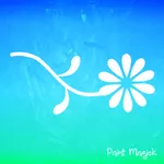 Paint Magick icon