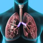 Respiratory System Trivia icon