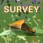 Eco-survey icon