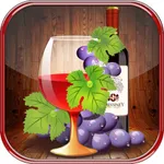 葡萄酒百科大全  产区酒庄专业知识科普手册 名酒大科普 icon