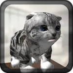 Cat Simulator 3D icon