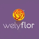 Welyflor WebApp icon