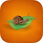 Slow Food. Tour Aragón icon
