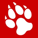 Northeastern Orientation icon