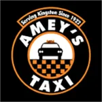 Ameys Taxi icon