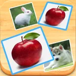 Find Double - Matching pair game with cute photos icon