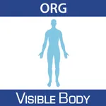 For Organizations - Physiology Animations icon