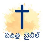 Telugu Bible - HD icon