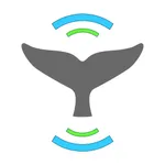 Whale Alert icon