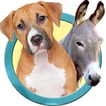 Animal Sounds And Pictures for Toddlers icon
