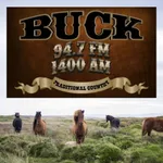 94.7 & AM 1400 Buck FM icon