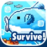 Survive! Mola Mola! icon