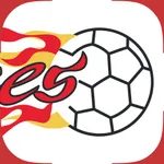 Flames Handball icon