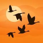 Birds Near Me icon