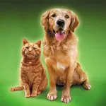 Cat Sounds & Dog Sounds icon