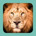 Sasol Mammals for Beginners (Lite): Quick facts, photos and videos of 46 southern African mammals icon