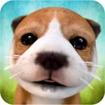 Dog Simulator 2015 icon