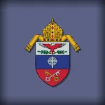 AMS USA icon